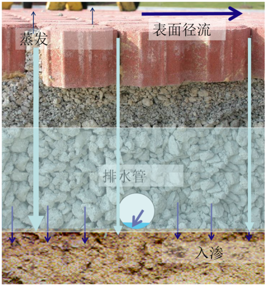 雨水收集系統